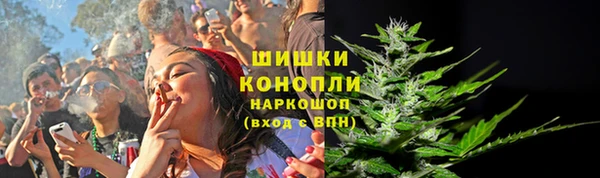 индика Нефтегорск