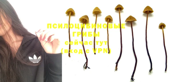 индика Нефтегорск
