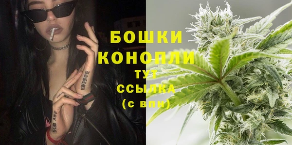 индика Нефтегорск