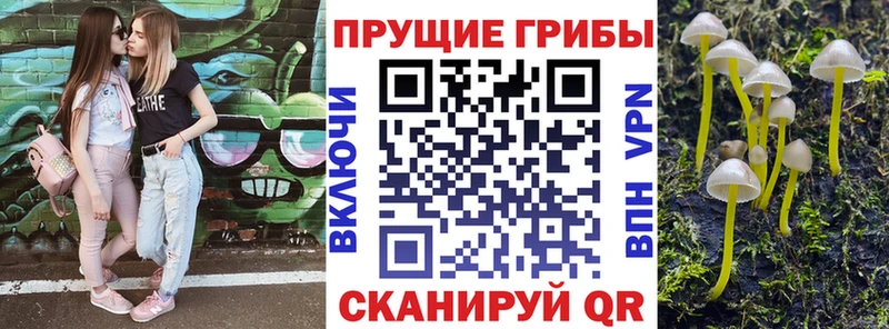 Галлюциногенные грибы ЛСД  наркошоп  Орлов 